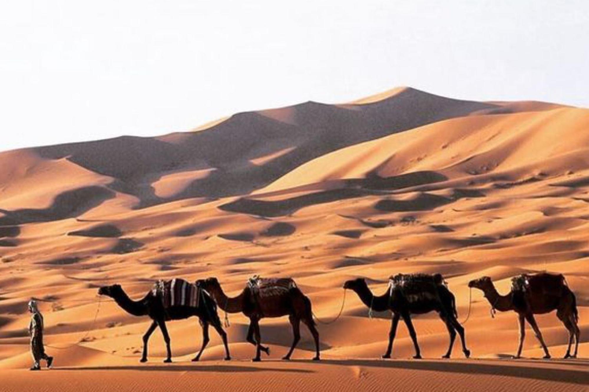 Luxury Merzouga Desert Camp מראה חיצוני תמונה